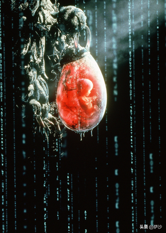 哥白尼怎么死的（为什么曼德拉效应越来越明显？1600年2月17日布鲁诺被火刑处死）