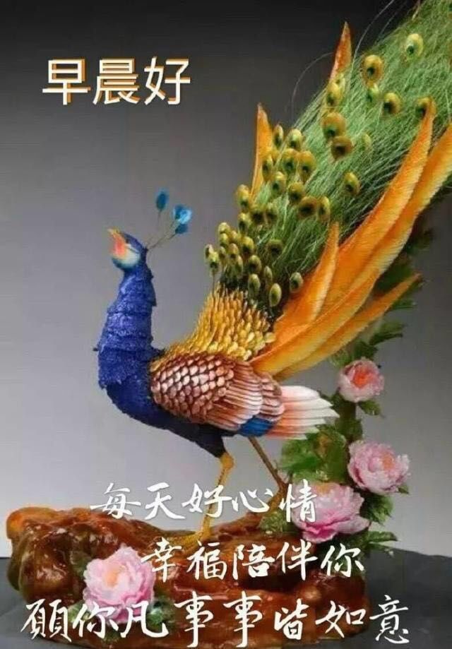 春季鲜花早上好图片，问候早上好的简短句子，祝福大家心情快乐