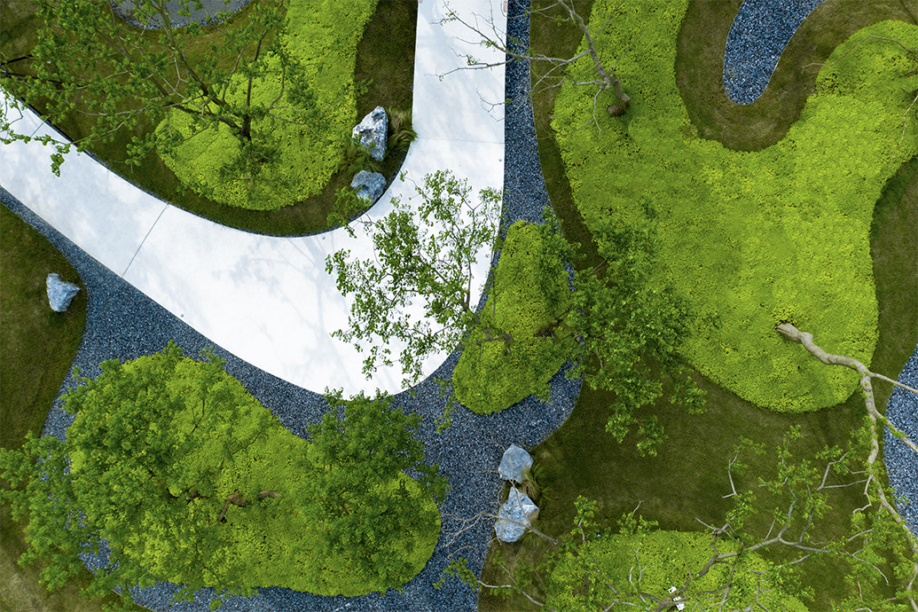 用心的植物搭配，超级美