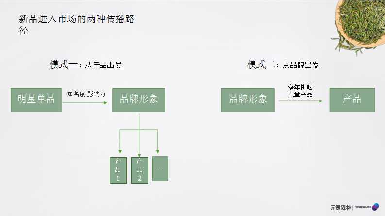 元气森林森林媒介投资规划PPT「食品饮料」「种草带货」