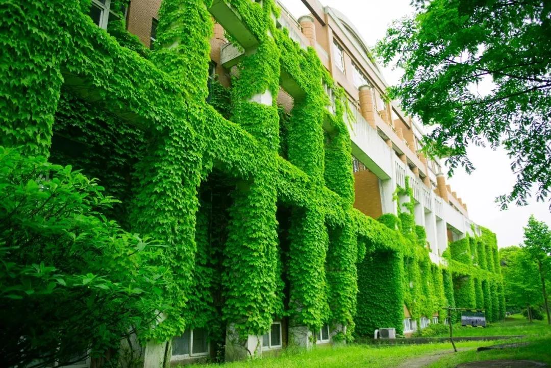 首批！中国计量大学荣获“浙江省绿色学校（高等学校）”称号