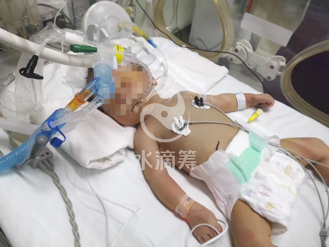 3067人相助,99600元善款!大家牵挂的“西集娃”出院啦!娃爸:剩余善款将捐出