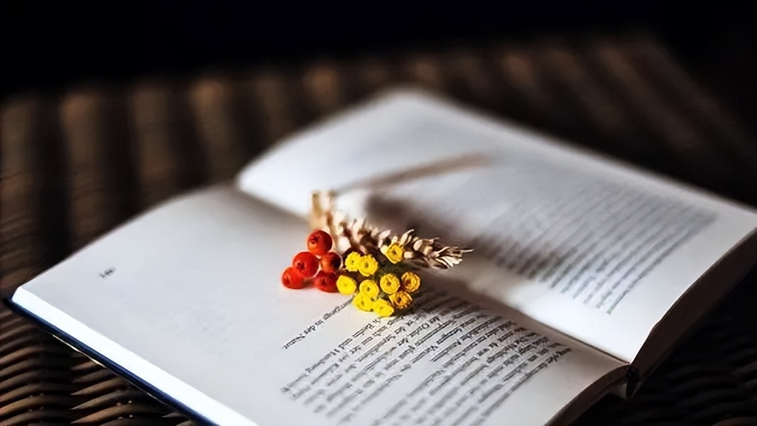 深圳自考本科专业有哪些可选？并且热门简单好考？