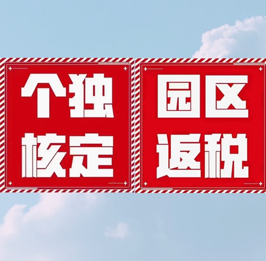 核定征收與查賬征收如何界定？你的企業(yè)適用于哪種征收？
