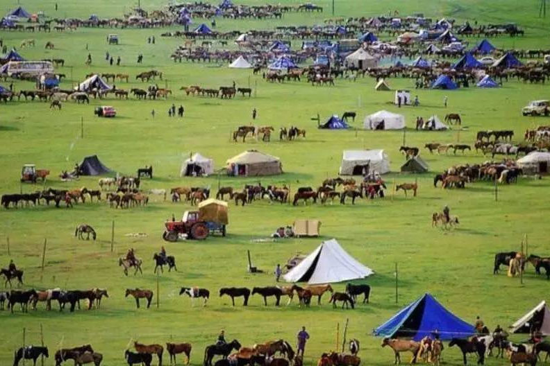 统考235分文化390分，河南、云南、山西等七省可报考哪些院校？