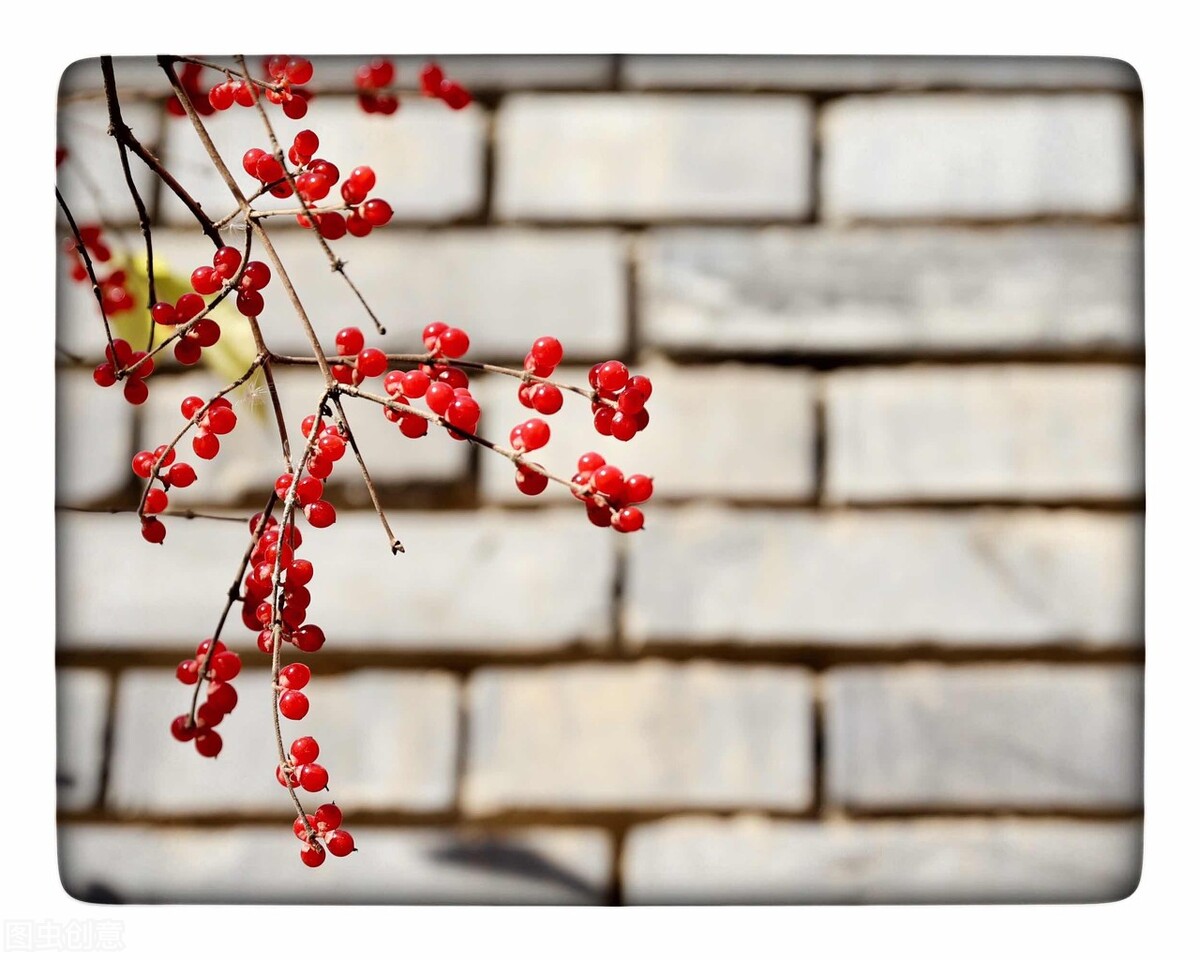 爱情里的你我(爱情小文章)