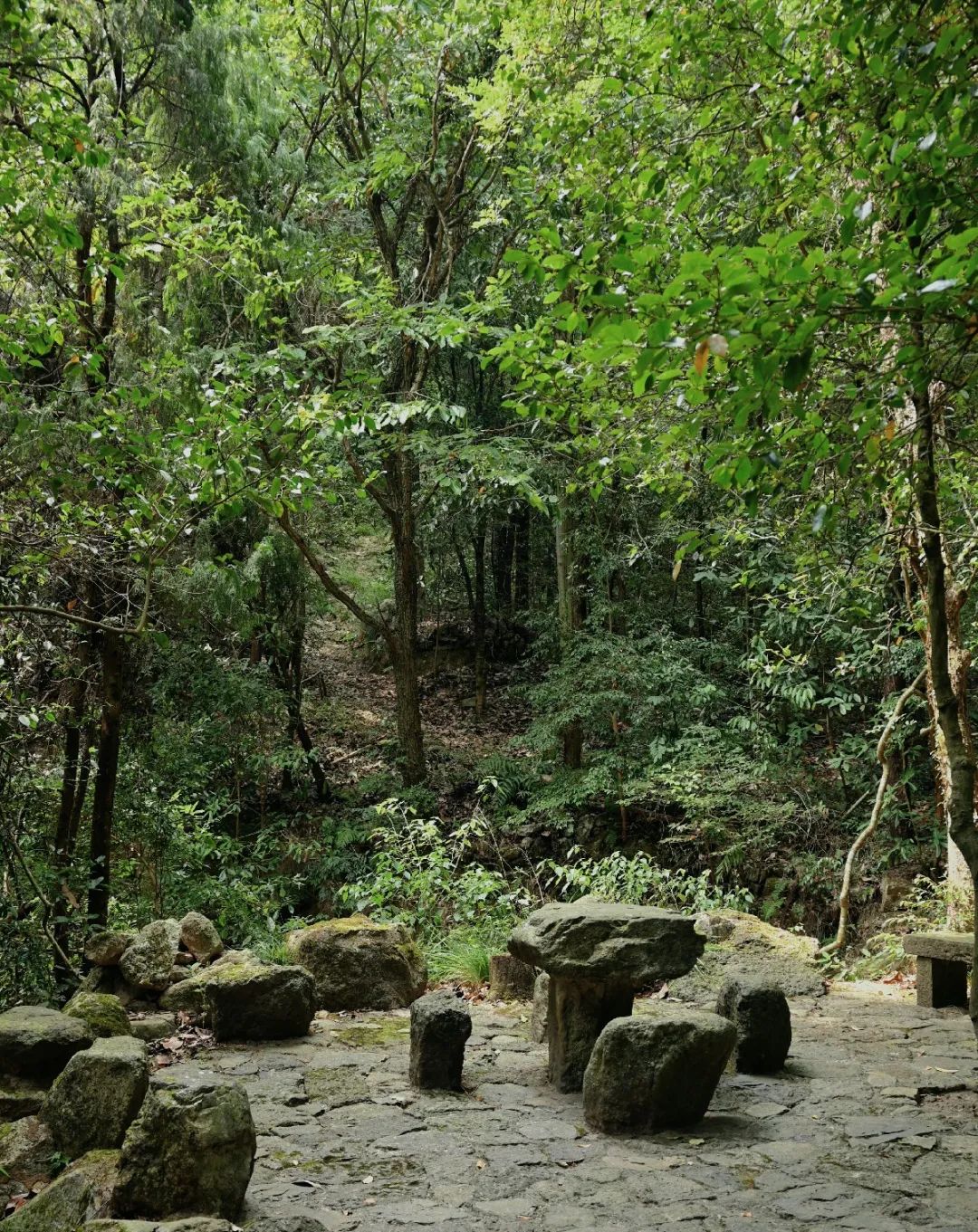 他们看上去有点软(建德游记一 | 大慈岩 | 江南悬空寺)