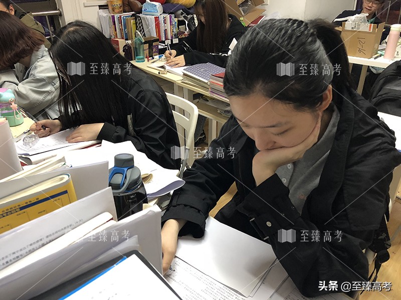 武汉艺术生文化课培训班：至臻高考高三艺考生复读