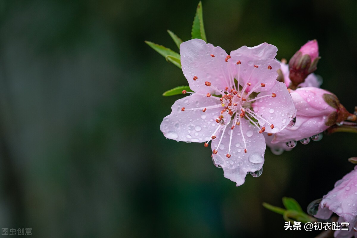 春分节气春雨美诗七首：春分雨露濛，细雨又春分