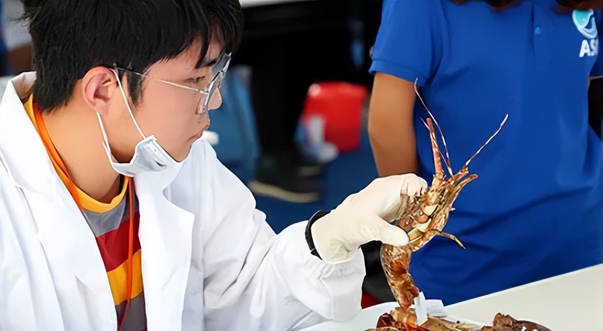 逐渐冷清的985高校，从人声鼎沸到鲜有人报考，与专业设置有关系