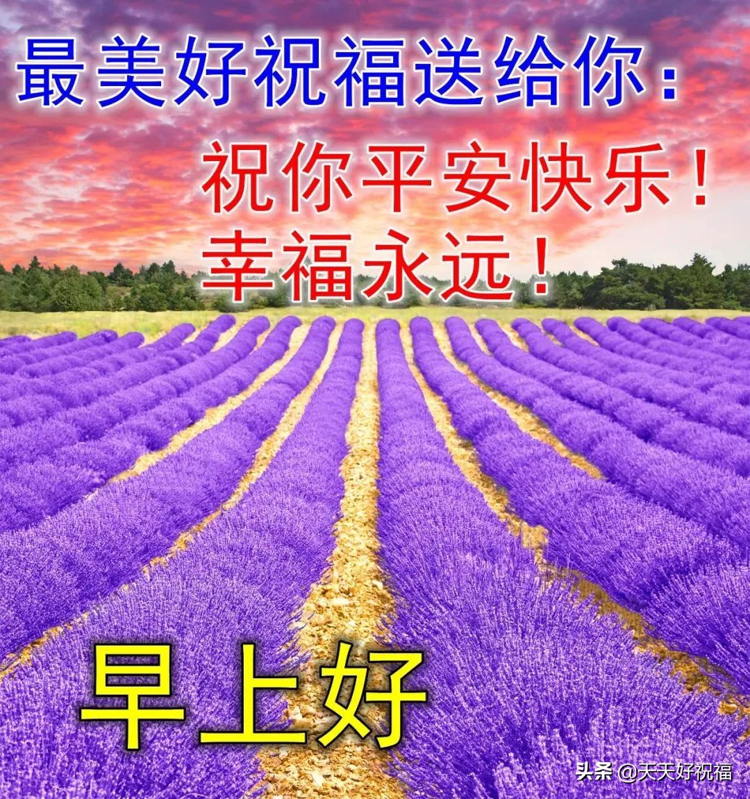 風景心情好的唯美句子大全3