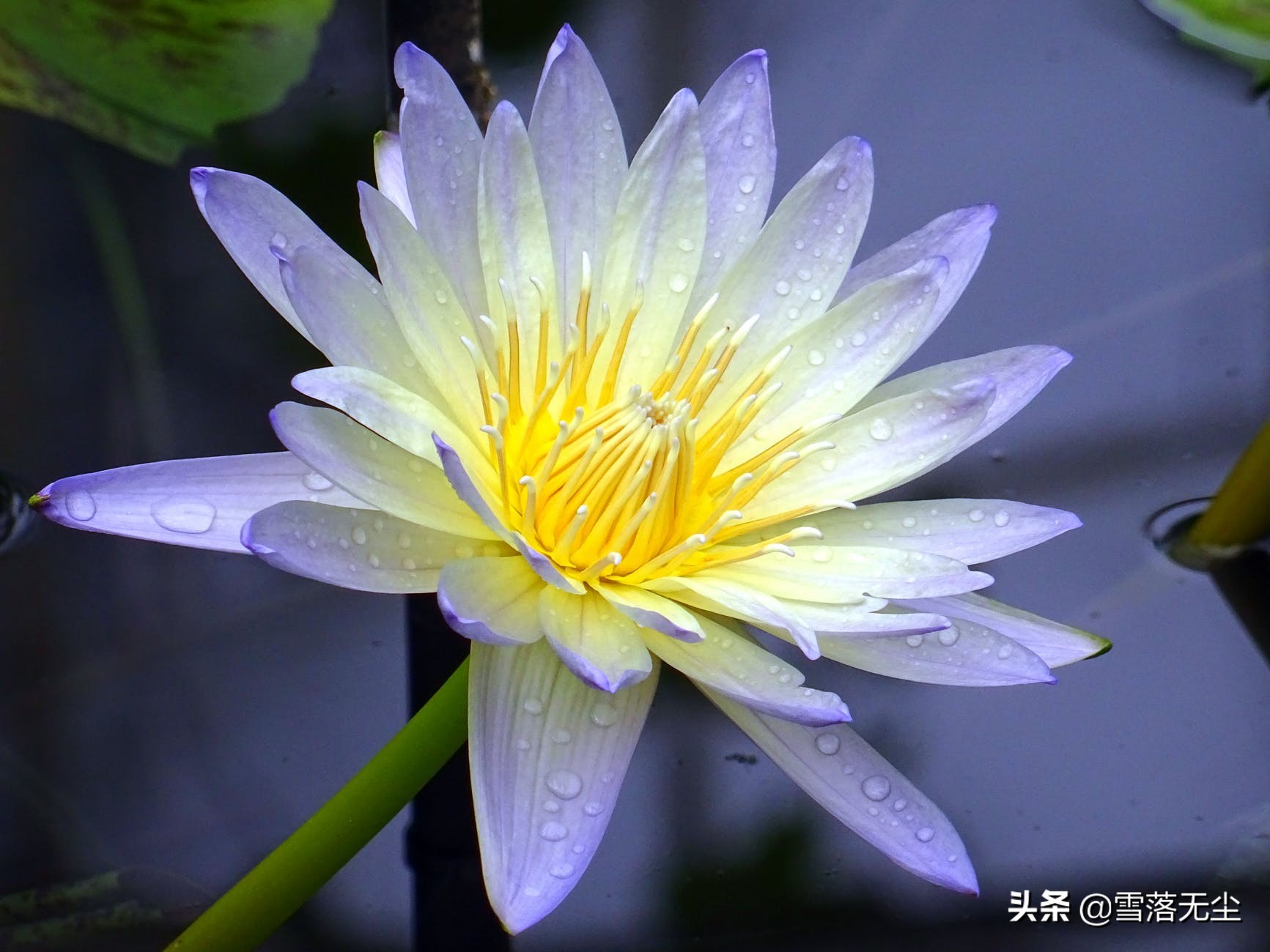 男人如此对你，才是真的把你放在心里了，不会再离开