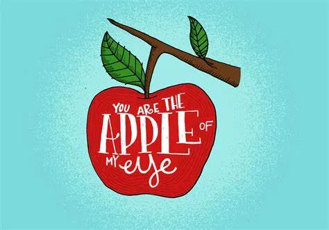 外国人说"apple of my eye"什么意思？