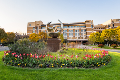 统考240/文化400多有希望录取，上海设计界的黄埔军校了解吗？