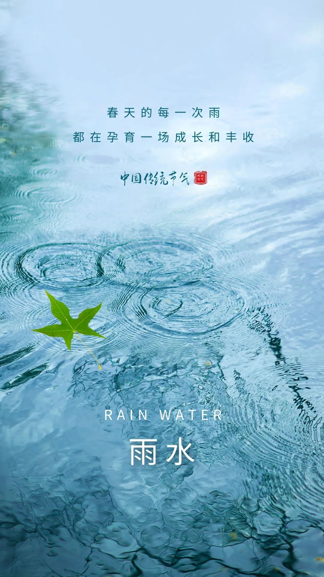 雨水节气文案、海报，遇见春天