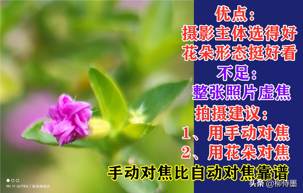 难怪照片不好看，这些拍照时的“坏习惯”，摄影新手经常犯