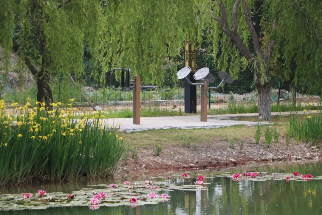 山东工业技师学院：走进金牌工院 品鉴校园资产