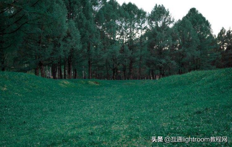悬浮图片是什么（悬浮图片app怎么用）-大连信息网