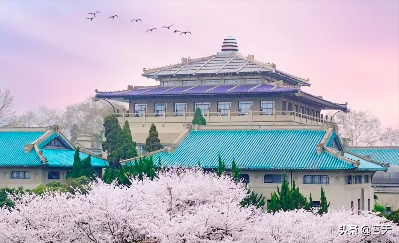 武汉大学排名表(武汉 大学 排名) - 武陵观察网