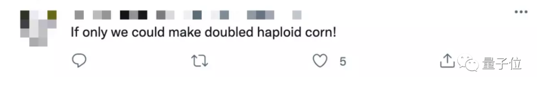 不用精子就能繁育后代，科学家只用1个卵细胞就培育出健康小鼠