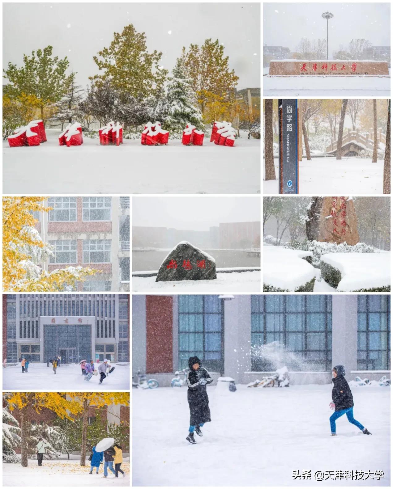 【年末总结】2021将成过往，2022开启新生！