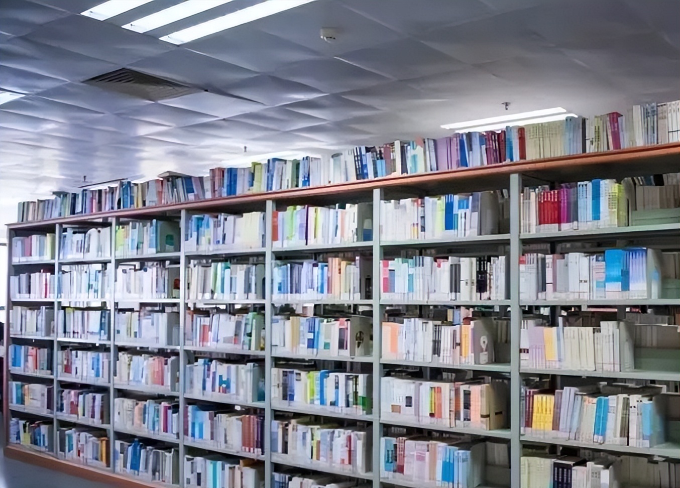 中南大学教授——刘路的传奇人生路