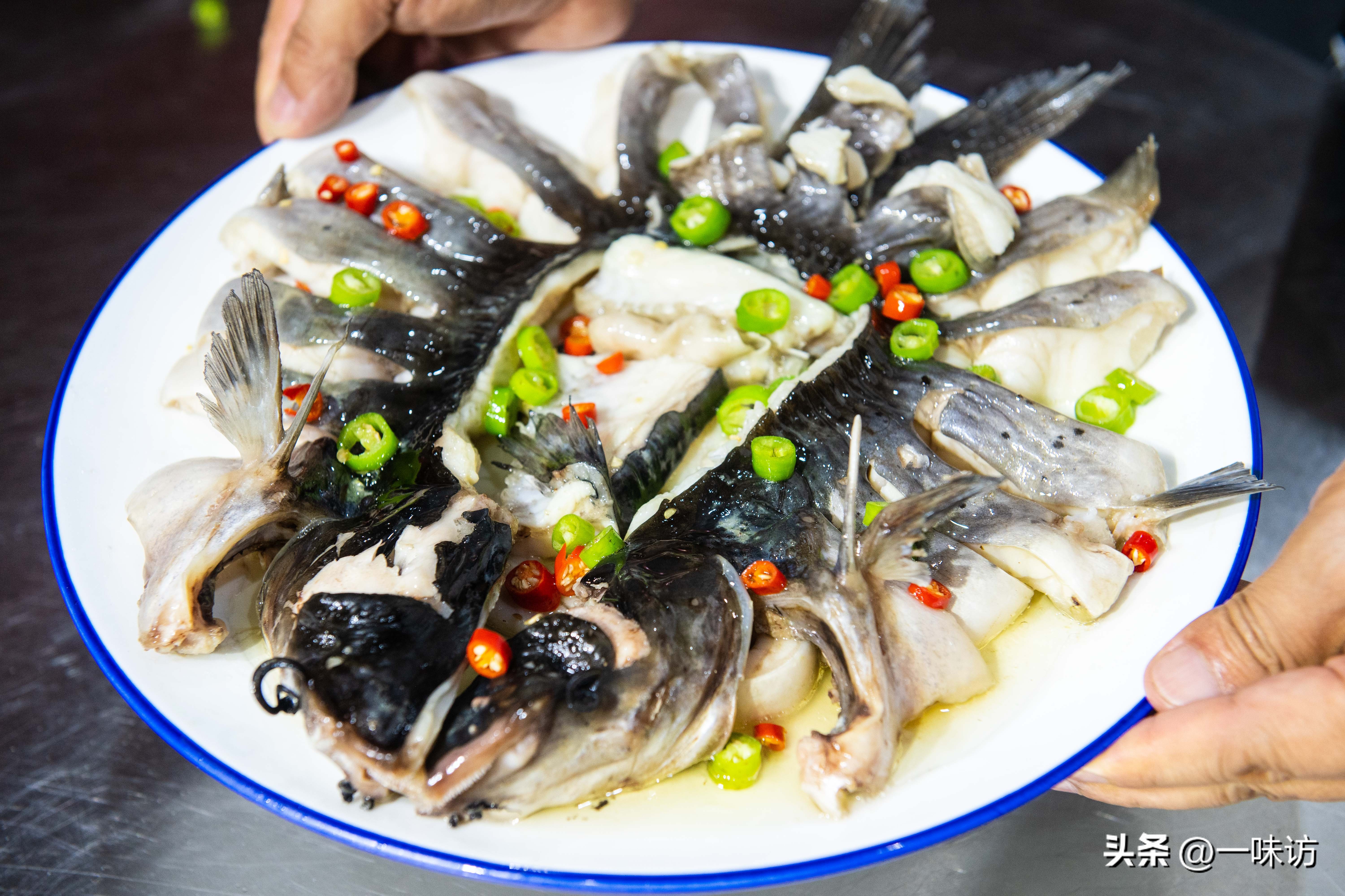 一,改刀清江鱼取洗宰杀干净的新鲜的清江鱼,鱼的清