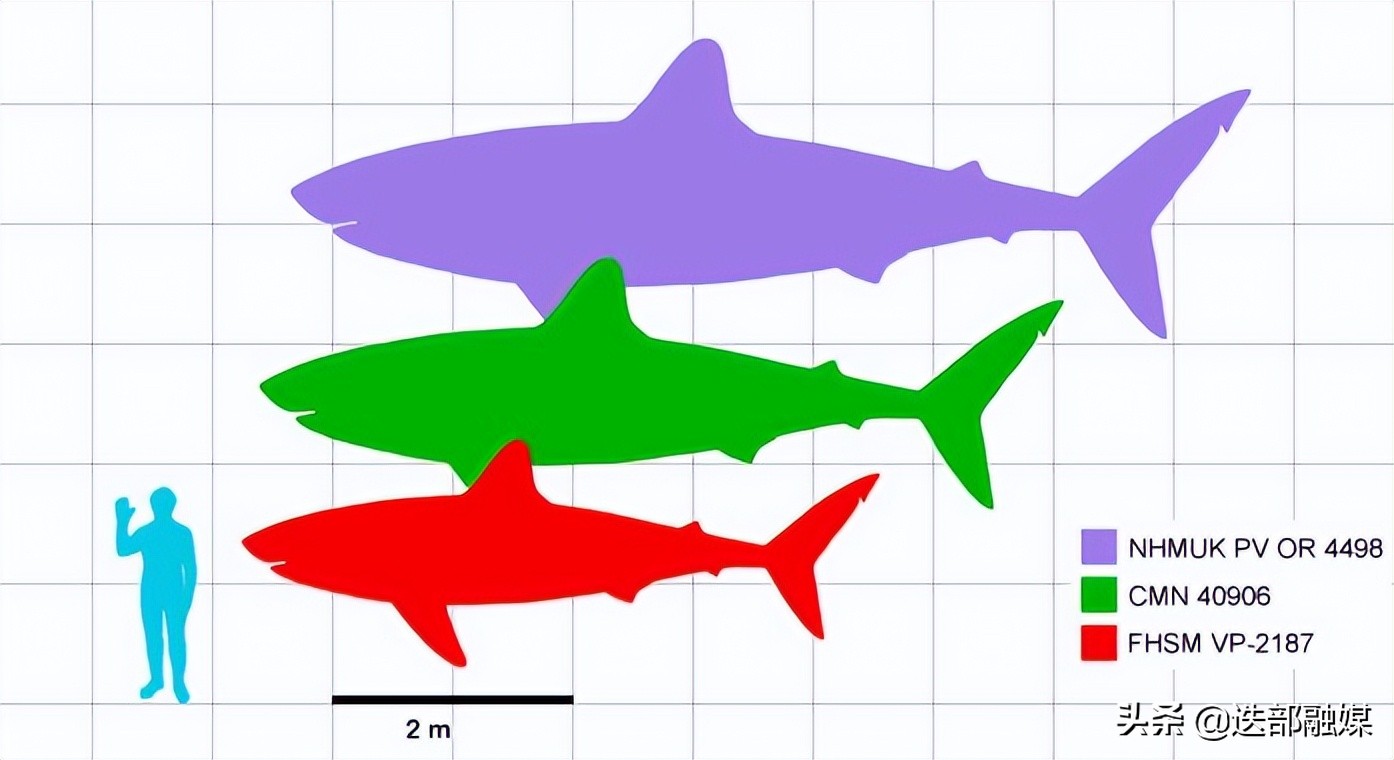 侏罗纪世界3上映，顶流沧龙出场太少被吐槽？