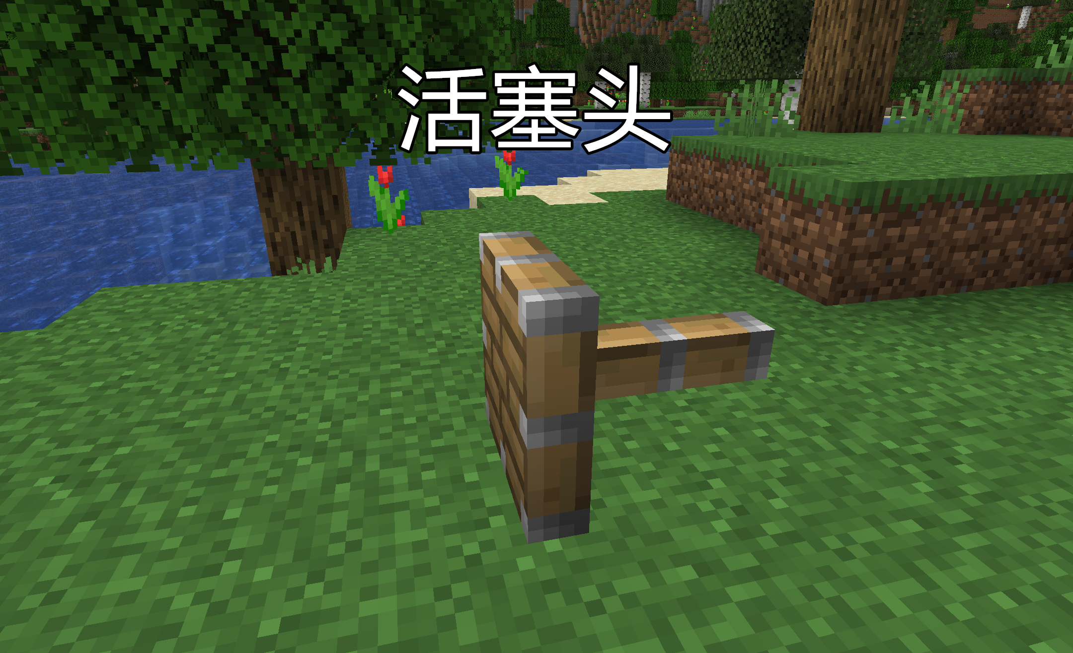 我的世界活塞循环(huan)推动（我的世界活塞推动装置）-大连(lian)信息网