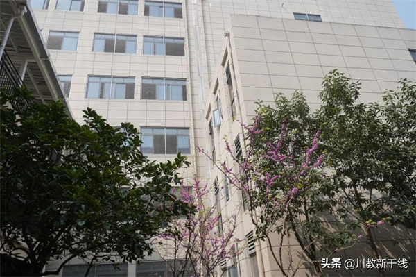 把希望种进春天里——触摸绵阳富乐国际学校温暖如家的贴心服务