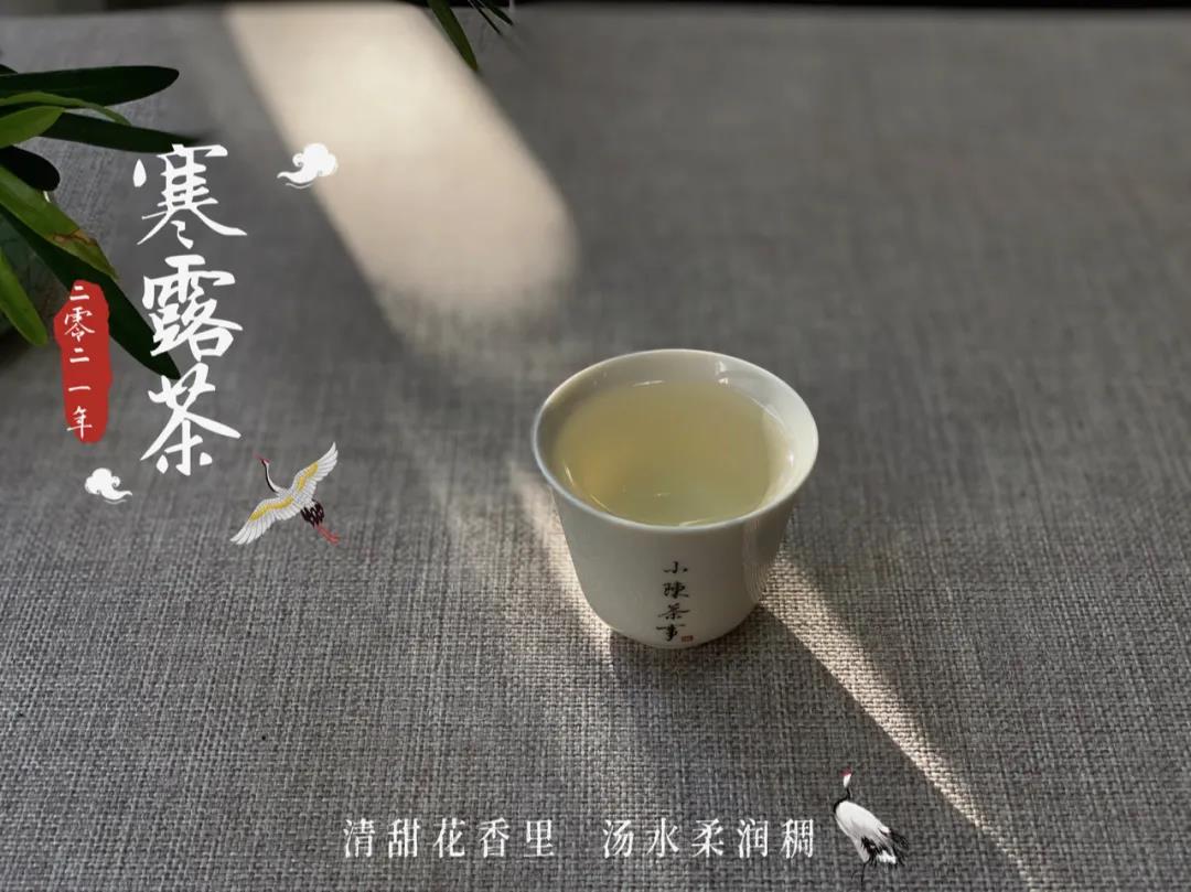 年底了，买老白茶要牢记“3个要点”，不交学费，春节在家喝好茶