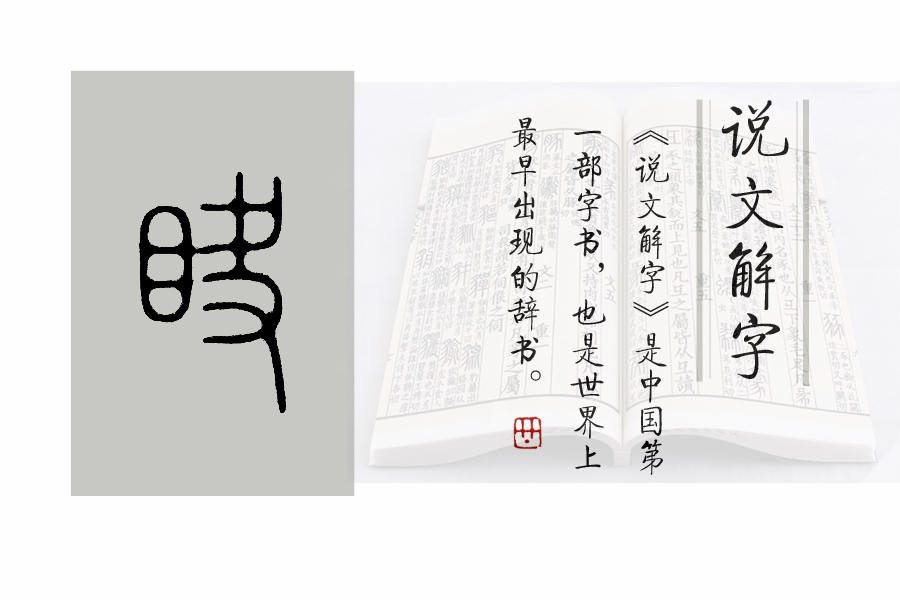 瞥怎么读（《说文解字》第661课：“瞥了一眼”的“瞥”）