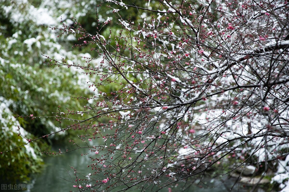 花开为谁思，落花满地伤