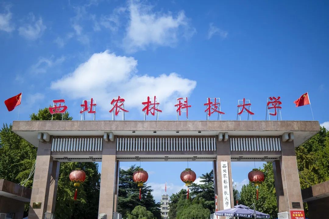 「高考指南」全网最全！强基计划发布最全高校汇总