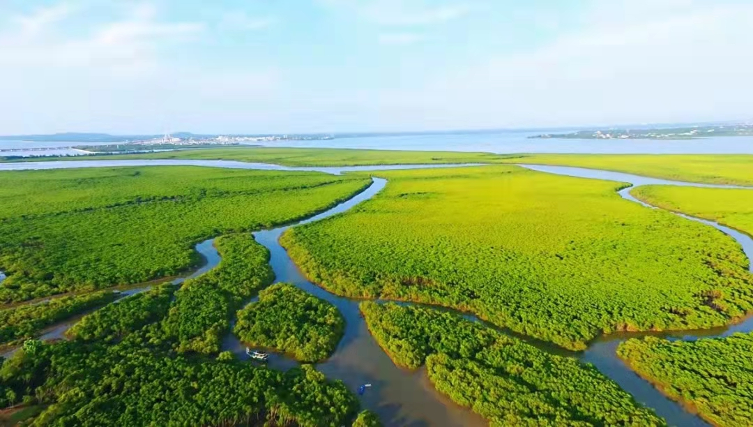 大力倡导海洋生态文明建设