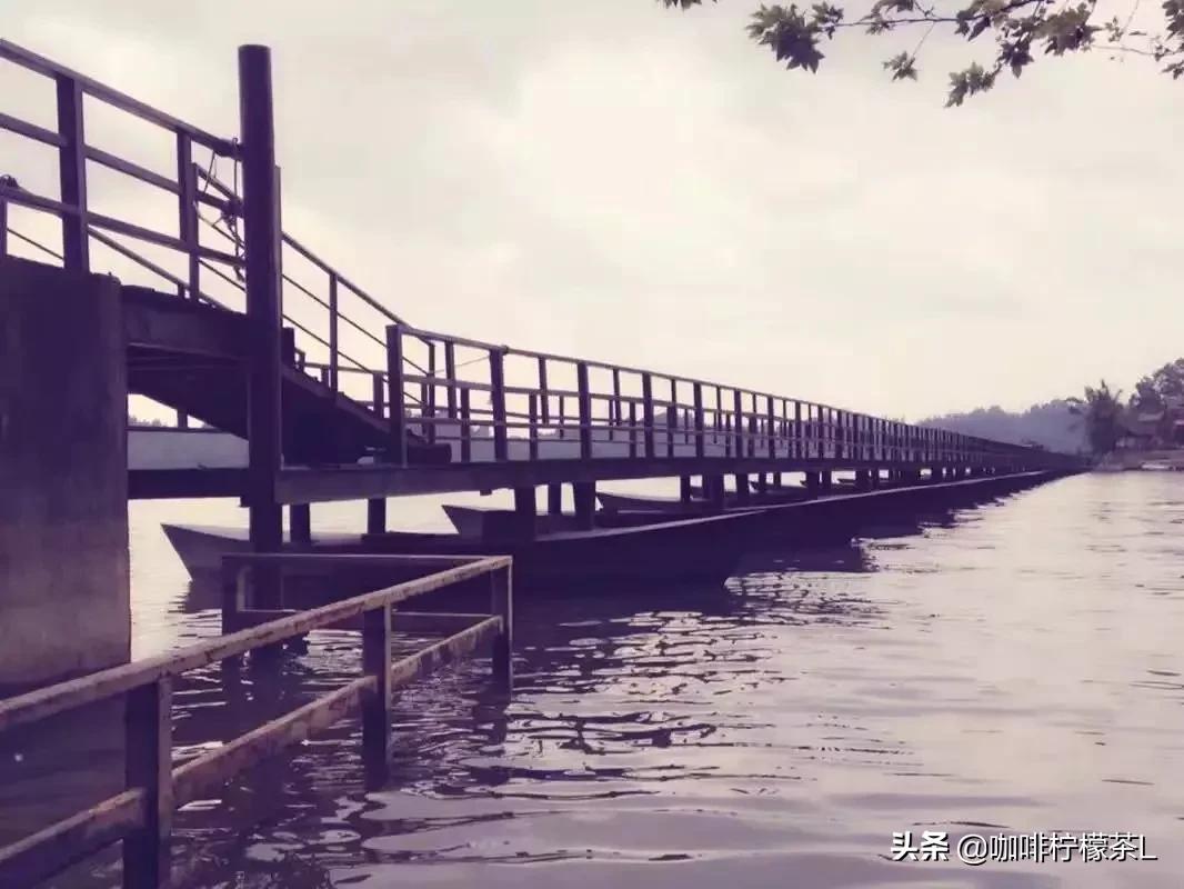 多少人难以抉择