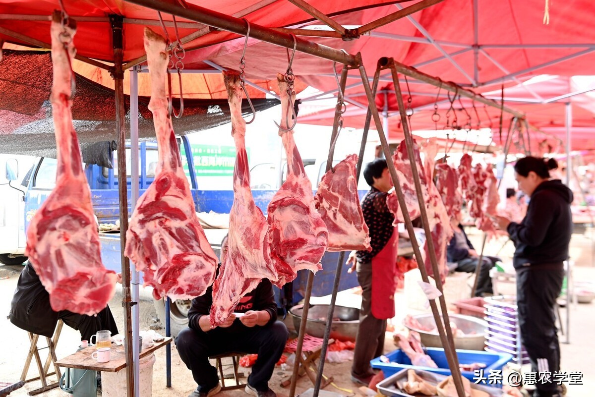 全国今日羊肉价格呼和浩特，羊肉价格今日价一斤