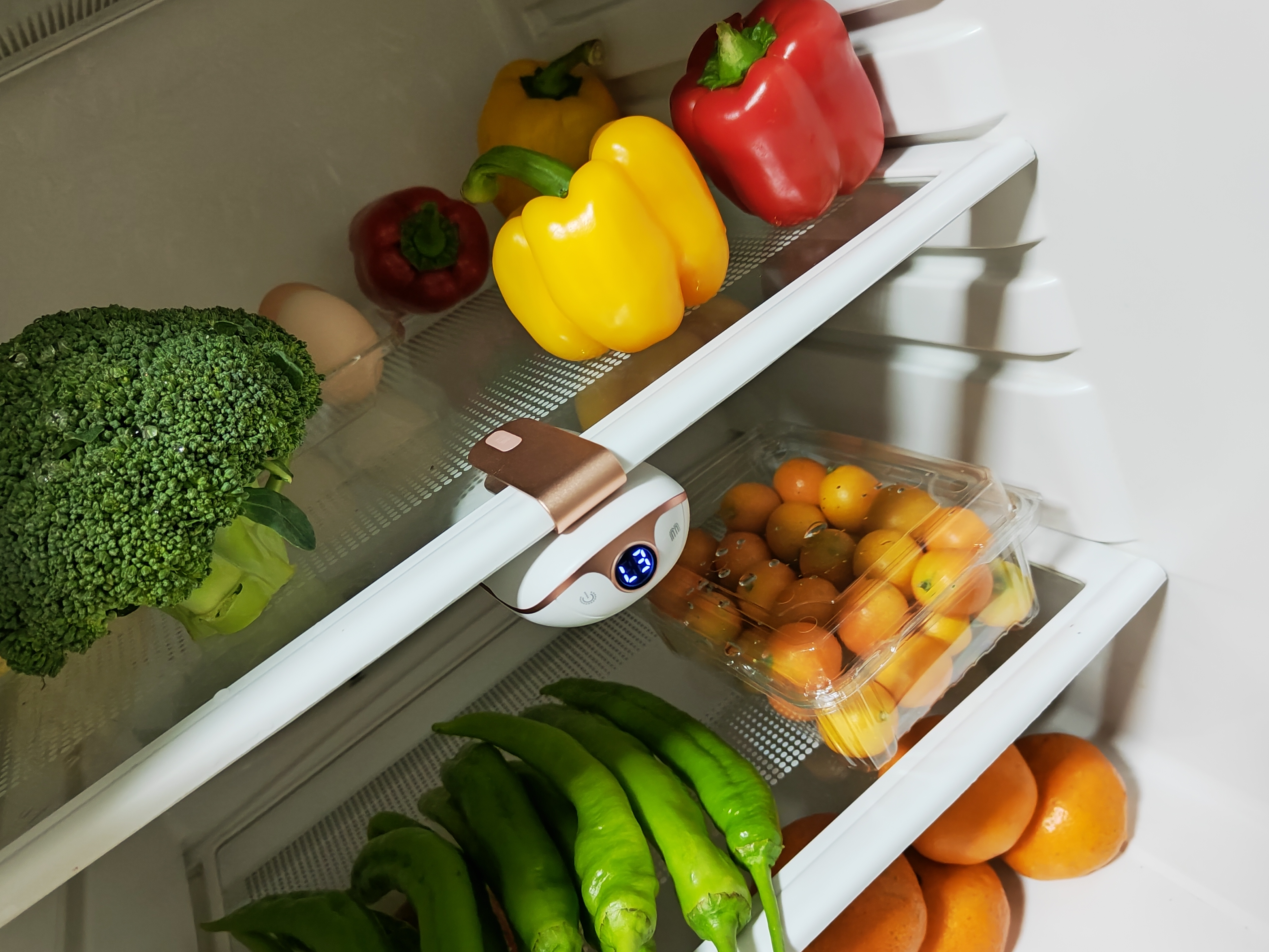 静享健康“鲜”生活，从冰箱杀菌开始——清迦冰箱杀菌除味器体验