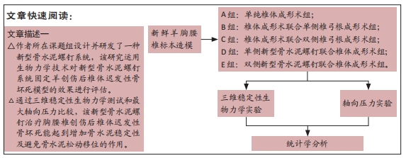 新型骨水泥螺钉系统固定迟发性椎体骨折后骨坏死模型的生物力学评估