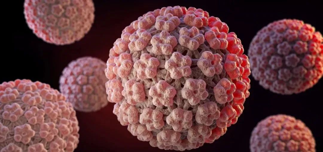 hpv,也就是人乳头瘤病毒,一开始,人们以为hpv能引起的是我们身上的