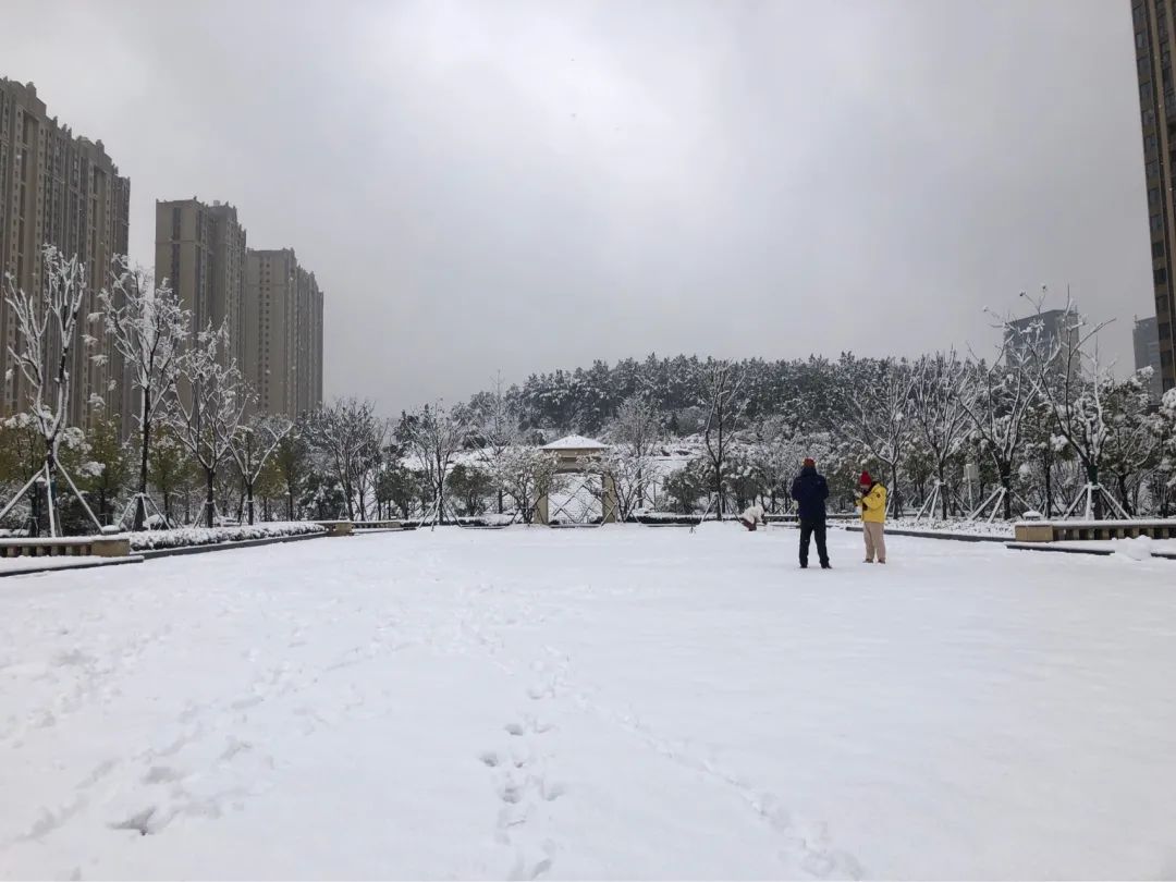 一场大雪一场欢，打雪仗、堆雪人，像小孩子一样激动兴奋