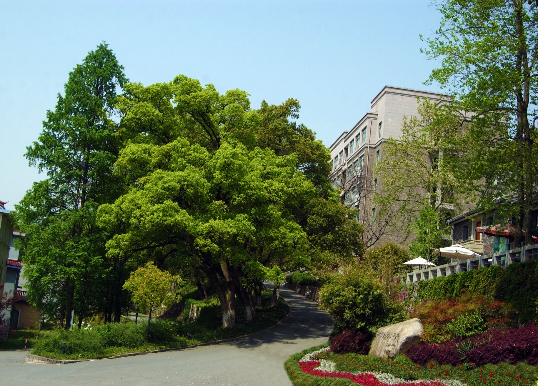 艺术学校简介（了解清楚这五点）