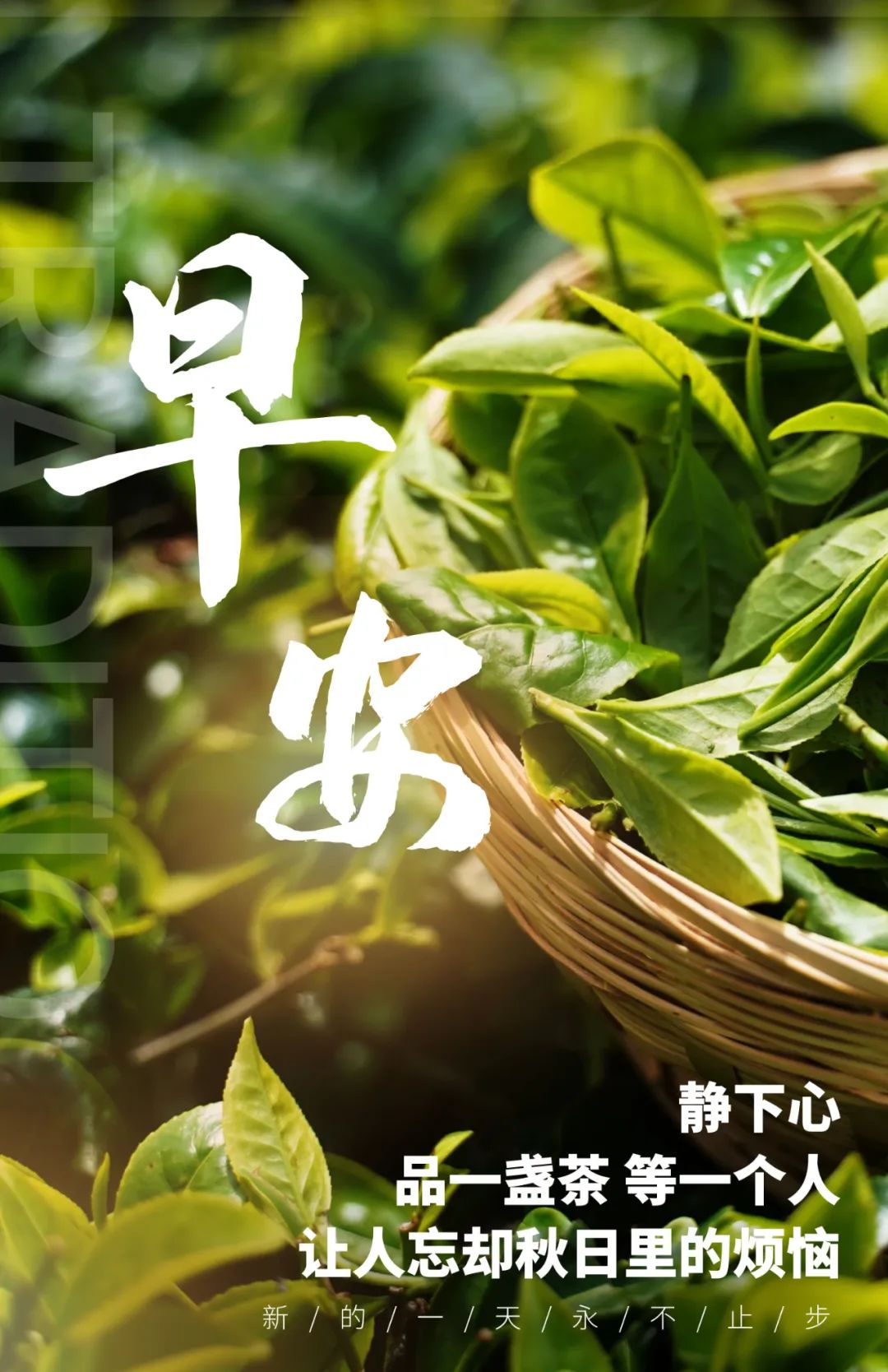 04.26」早安心语,正能量哲理语录句子文案 早上好励志图文