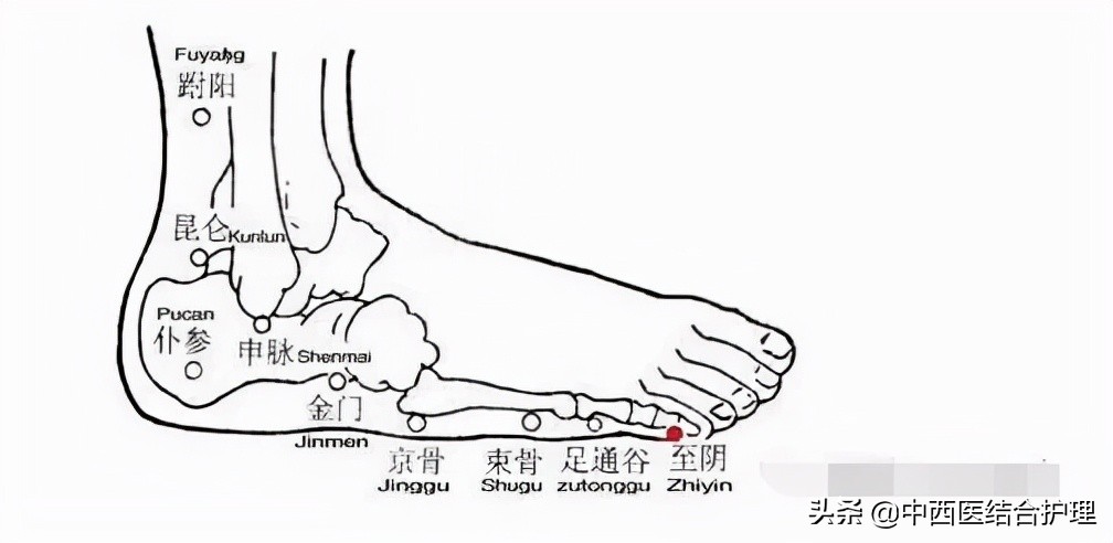 腿部穴位经络图(腿部经络图6条走向)-友友