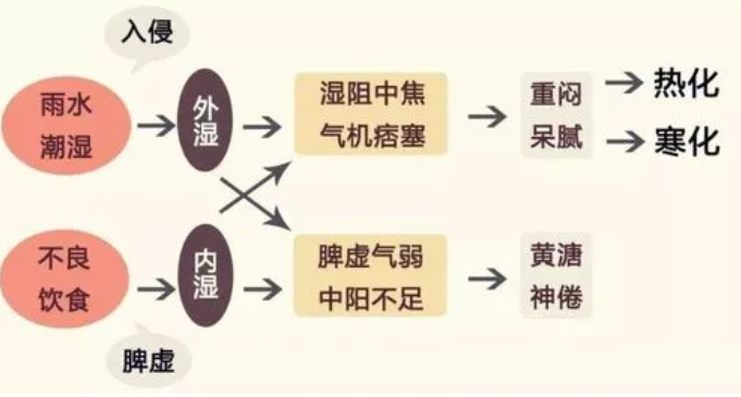 阳气不足的症状是什么,人阳气不足的表现-友友