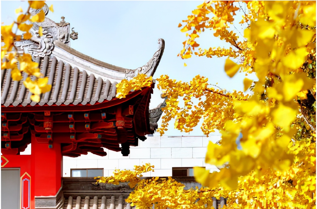 四川大学化学学院（穿越三个世纪）