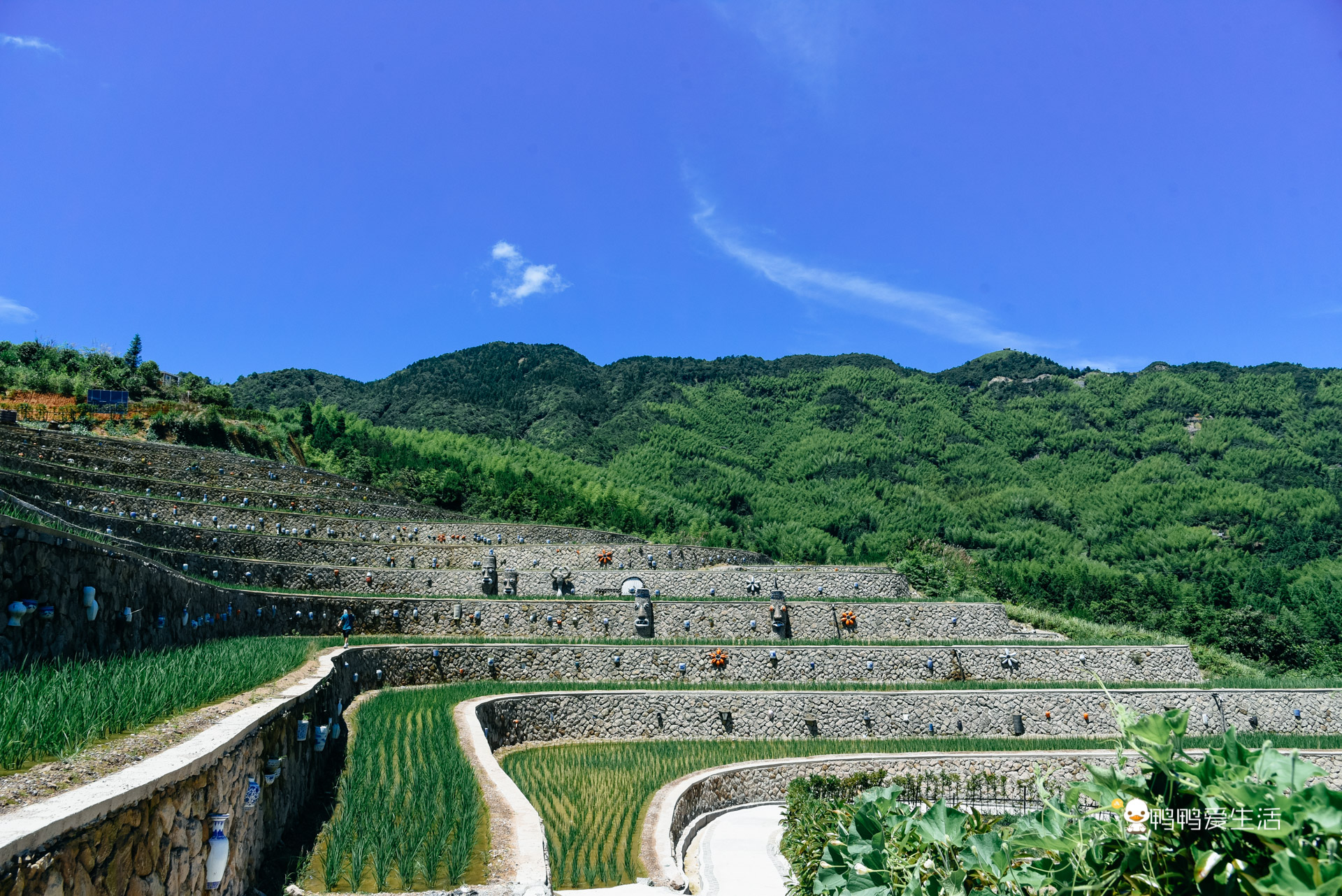 温州泰顺：住进超五星酒店泡温泉，假装在奈良逗小鹿，无比惬意