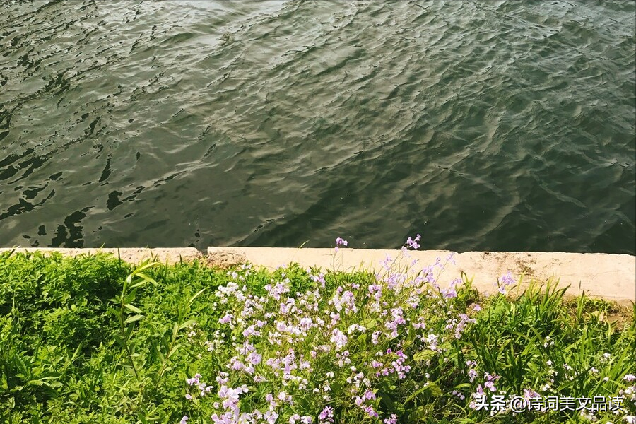 古诗文中的绝美成语：读之，朗朗上口；思之，意境深远