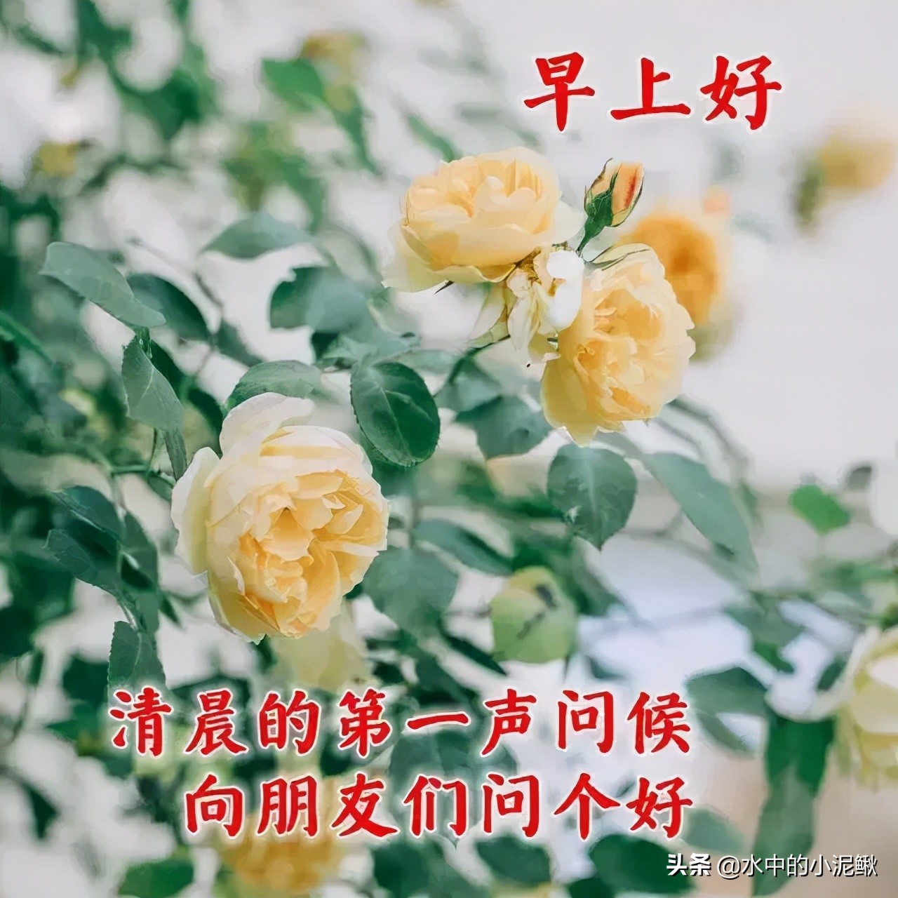 早上好励志早安正能量语录句子，唯美早安励志图片和文字 句子，