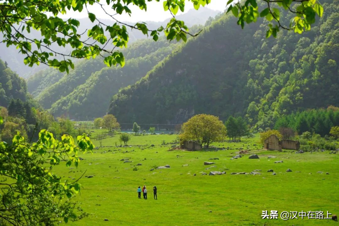 信號滿格！這個(gè)五一來漢中獅子溝牧場，大片隨時(shí)分享